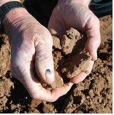 Soil-hands
